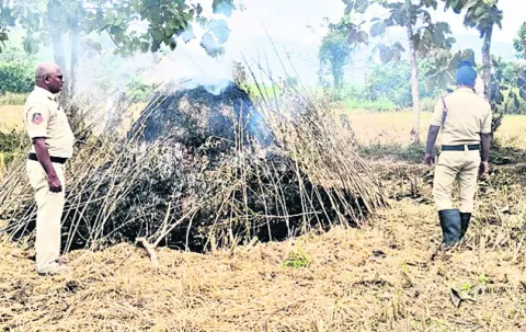 ధాన్యం కుప్పకు నిప్పు 