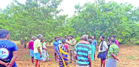 చిరుత పిల్లల దాడిలో మహిళకు గాయాలు 