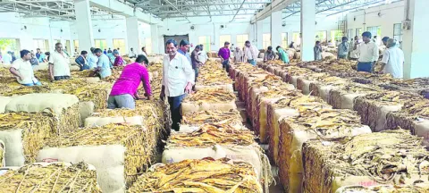 ముగిసిన ‘వర్జీనియా’ అమ్మకాలు