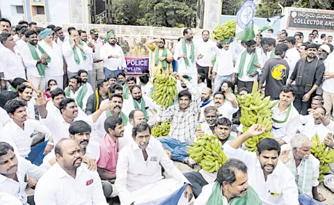 Banana Farmers Protest At Ananthapur Collectorate