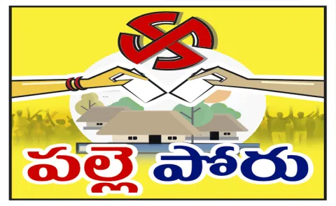 Graduates contesting in Telangana Sarpanch elections