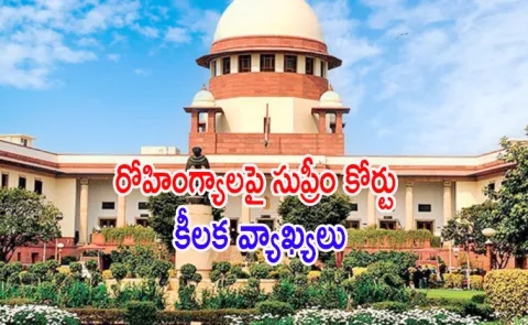 Should we roll out the red carpet To Rohingya