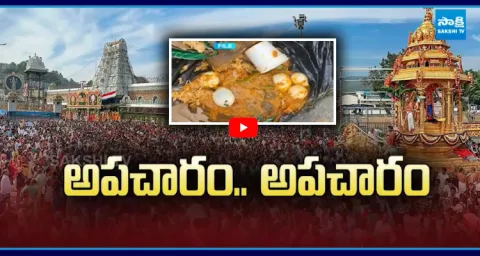 TTD Negligence Exposed Eggs Found In Tirumala Stay Room 1