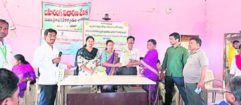 సేంద్రియ సాగుతో అధిక దిగుబడి