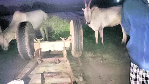 ఎద్దుల బండిని ఢీకొన్న లారీ 