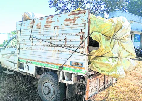 కలప వాహనం పట్టివేత