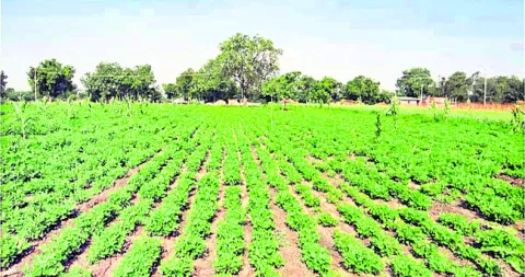 అన్నదాతకు రాయితీ దూరం 