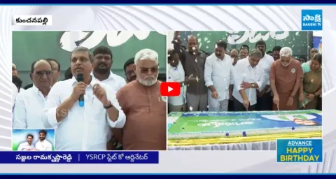 Sajjala Ramakrishna Reddy About YS Jagan Ruling 1