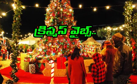 Celebrate Christmas In India Best Cities And Spots