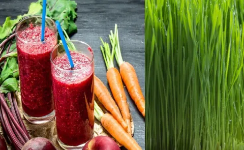 Do you want strong immune system? Check these nutrient rich foods