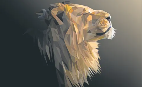 India is a destination for wildlife