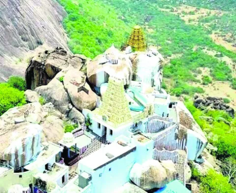 నారాయణపేట