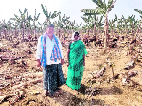 జగనన్న పాలన స్వర్ణయుగం 
