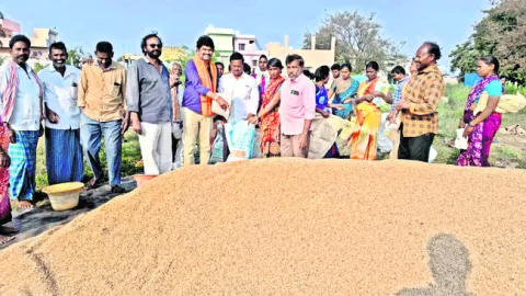 వంద బస్తాల వడ్లు ఉచితంగా పంపిణీ
