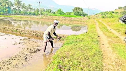 రైతు బతుకును పండగ చేశాడు