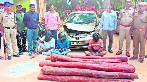 12 ఎర్రచందనం దుంగలు స్వాధీనం