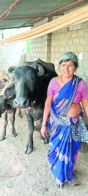 జగనన్న పథకాలు నా కుటుంబ రాతను మార్చేసింది 