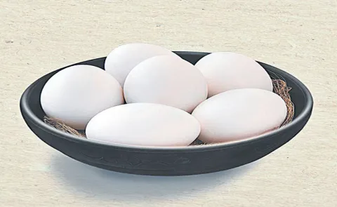 Eggs Safe for Consumption, Rejects Cancer Risk Claims Says FSSAI