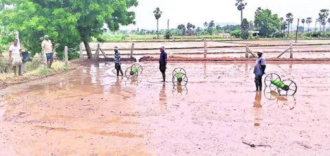 సరికొత్తగా సాగు.. దిగుబడులు బాగు