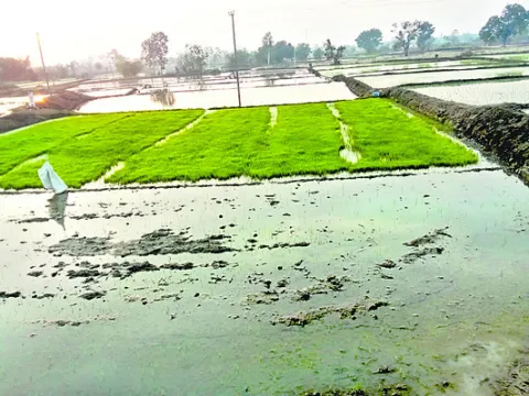 రైతు భరోసా ఏది?