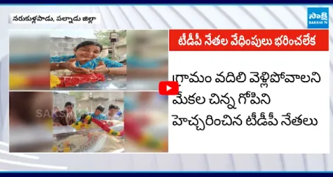 Mekala Chinna Gopi Incident In Palnadu District 1