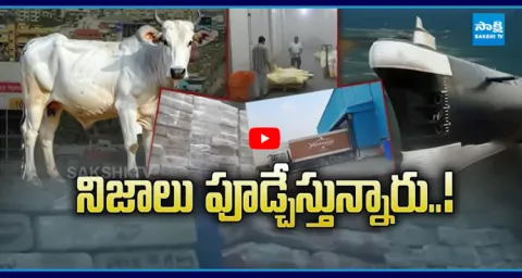 Cow Meat In TDP Leader Subrahmanya Gupta Cold Storage Case 1