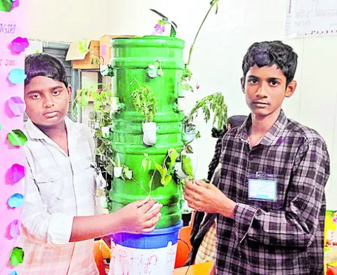 ఇంటి పంటల సాగుకు ప్రయోజనకారి 
