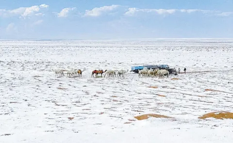 Rare Snowfall Blankets Saudi Arabia