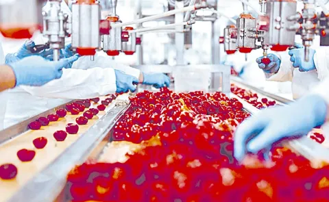 Decision to use modern technology in food processing for international standards: Telangana