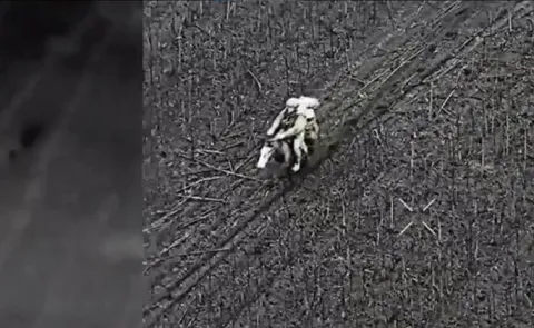 Ukrainian Drone Locks In On Russian Soldier On Horse