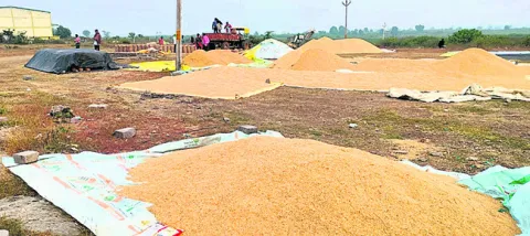 వానాకాలం వడ్లకు ‘బోనస్‌’!