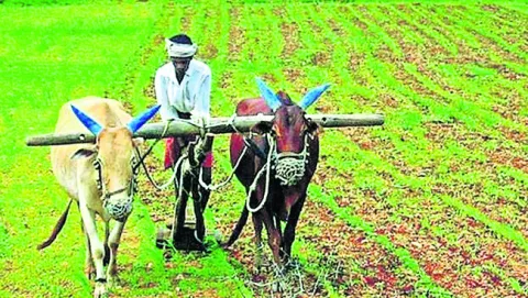అన్నదాతలపై చంద్రబాబు చిన్నచూపు 