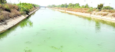 కాకతీయ కాలువకు   నీటి షెడ్యూల్‌ విడుదల
