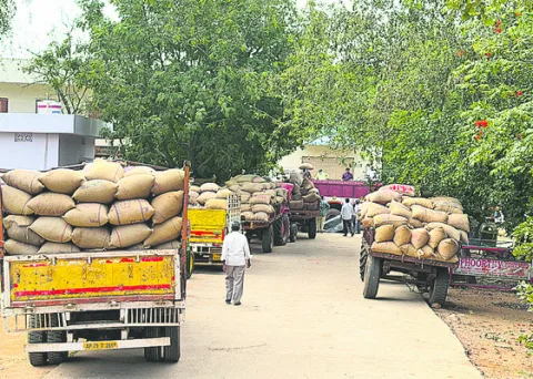 జోరుగా మొక్కజొన్న విక్రయాలు