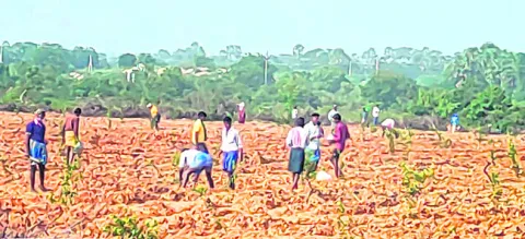 సింహాచలకండ్రిగలో మళ్లీ రాజుకున్న భూవివాదం