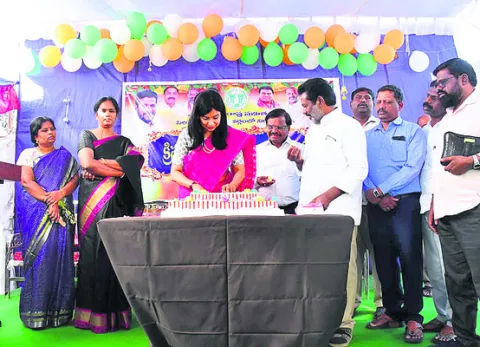 పండుగలు సంతోషంగా జరుపుకోవాలి