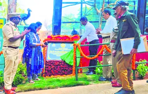 జూలో నెమళ్ల ఎన్‌క్లోజర్‌ ప్రారంభం