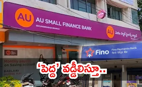 How Small Finance Banks Are Growing into Big Players