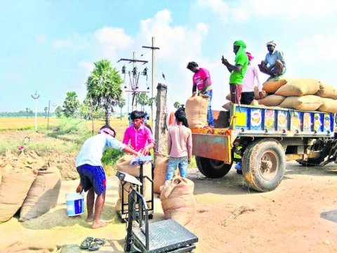 వేగంగా ధాన్యం కొనుగోళ్లు 
