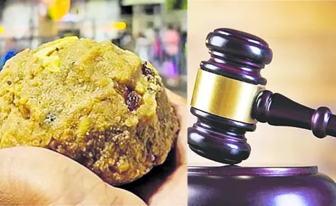 Court takes serious view on false reports in Tirumala laddu case