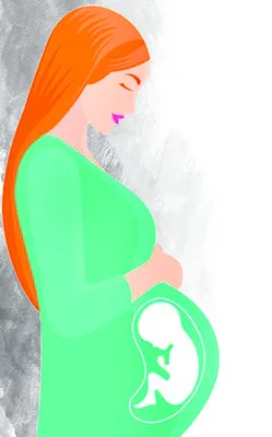 2025–26గర్భిణుల నమోదు, అబార్షన్ల వివరాలు 