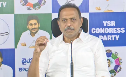 YSRCP General Secretary Comments On Chandrababu