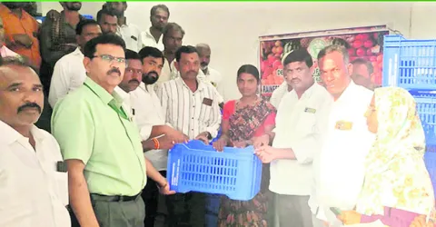 డిమాండ్‌ ఉన్న పంటలు సాగు చేయాలి 