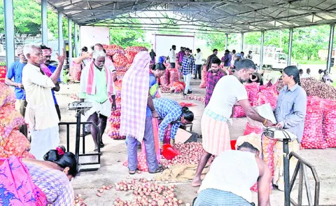 ఉల్లి ధర తగ్గుముఖం 
