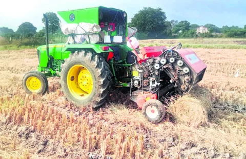 గడ్డినీ చుట్టేస్తున్నారు!