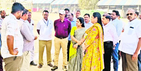 టమాటా ధరల్లో కోతలు వేస్తున్నారు