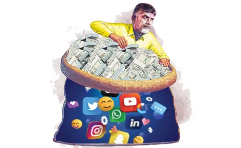 TDP members are being given posts in name of social media, consultants