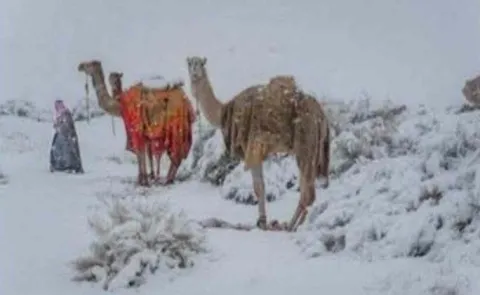 Saudi Arabia snowfall is a climate red flag and a warninngs15