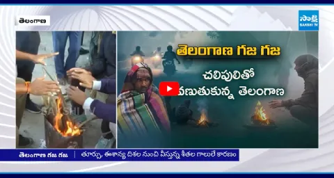 Cold Wave Temperatures Drop In Telangana 1