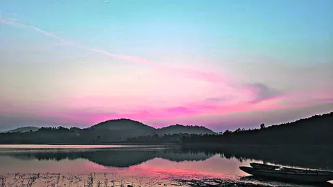 ● నీటి అద్దంలో.. ప్రకృతి ప్రతిబింబం